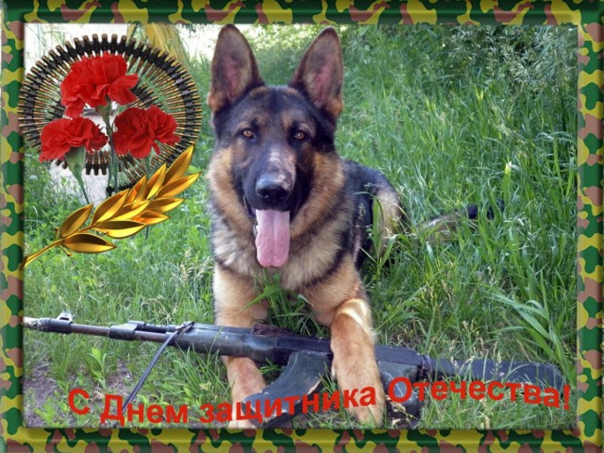 ПОЗДРАВЛЯЕМ С 23 ФЕВРАЛЯ!